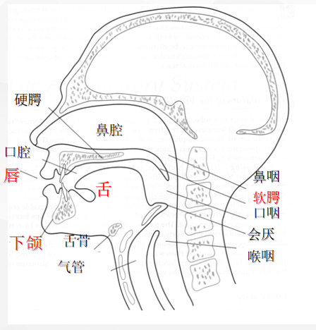 圖片 1.png